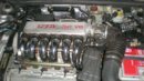 DSCN0207.jpg