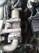 253070224_279720410712640_2160069998082236772_n.jpg