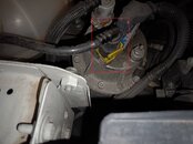 IMG_20211107_195024.jpg