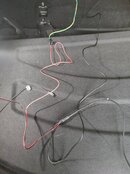 IMG_20211127_112536.jpg