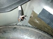 IMG_20211201_154012.jpg
