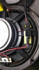 IMG_20220108_155651.jpg