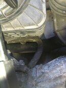 IMG_20220126_114112_1.jpg