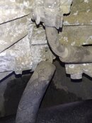 IMG_20220126_114153_1.jpg