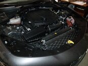 IMG_20220310_192010[1].jpg