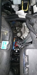IMG_20220511_114259.jpg