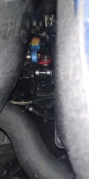 IMG_20220511_114306.jpg