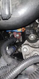 IMG_20220511_114330.jpg