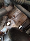 IMG_20220515_121002.jpg