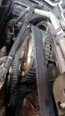 IMG-20220609-WA0018.jpg