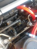 IMG_20220610_203335.jpg