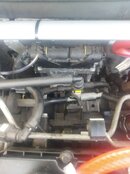 IMG_20220610_200611.jpg