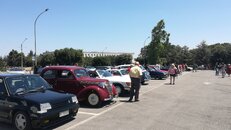 IMG_20220612_120428.jpg
