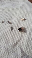 20220531_165104.jpg