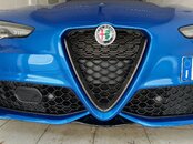 IMG_2956.jpeg