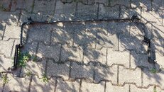 20220703_074826.jpg