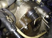 IMG_20220716_200720.jpg