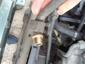IMG_20220723_101708_754.jpg