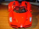 DSC00484.jpg