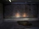 DSCN3796.jpg