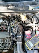 IMG_20220821_171418.jpg