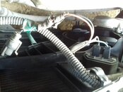 20220822_105356.jpg