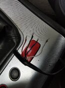 IMG_20220824_142218.jpg