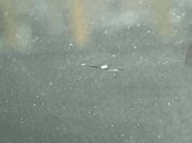 D14F83E4-D2CC-461F-9B66-73E316FACFBE.jpeg