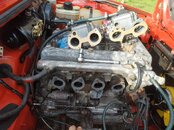 IMG_20211121_130214.jpg