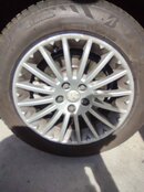 IMG_20221008_125213345.jpg