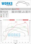 stelvio remap.jpg