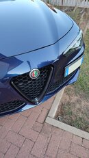 IMG_20221026_170925.jpg