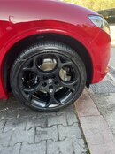 IMG_3874.JPEG