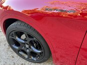 IMG_3880.JPEG