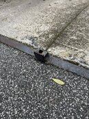 69EFDE5D-5376-4098-BCD0-8035DF3C0DF2.jpeg
