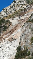 IMG_20221201_103908.jpg