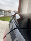 B7C4662B-BD9C-44E7-B250-0CF2564AF6D2.jpeg