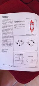 1679136184743.jpg