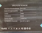 20230327_125954.jpg