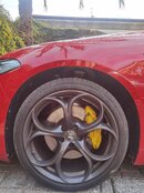 IMG_20230405_094739.jpg