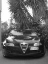 PICT2381.jpg