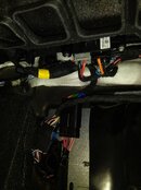 IMG_20230412_103040.jpg