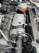 IMG_6059.jpeg