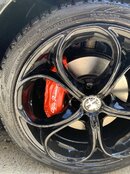 IMG_1842.jpeg