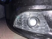 IMG_1908.jpeg