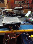 IMG_9692.jpeg