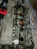 IMG20230511165818.jpg