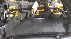 20180801_173810.jpg