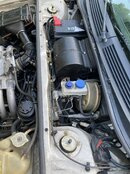 IMG_0039.jpeg