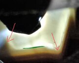 20230428_172548.jpg